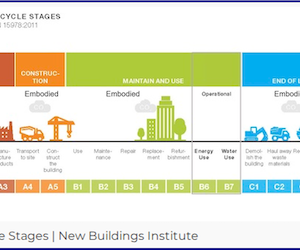 Life Cycle Stages